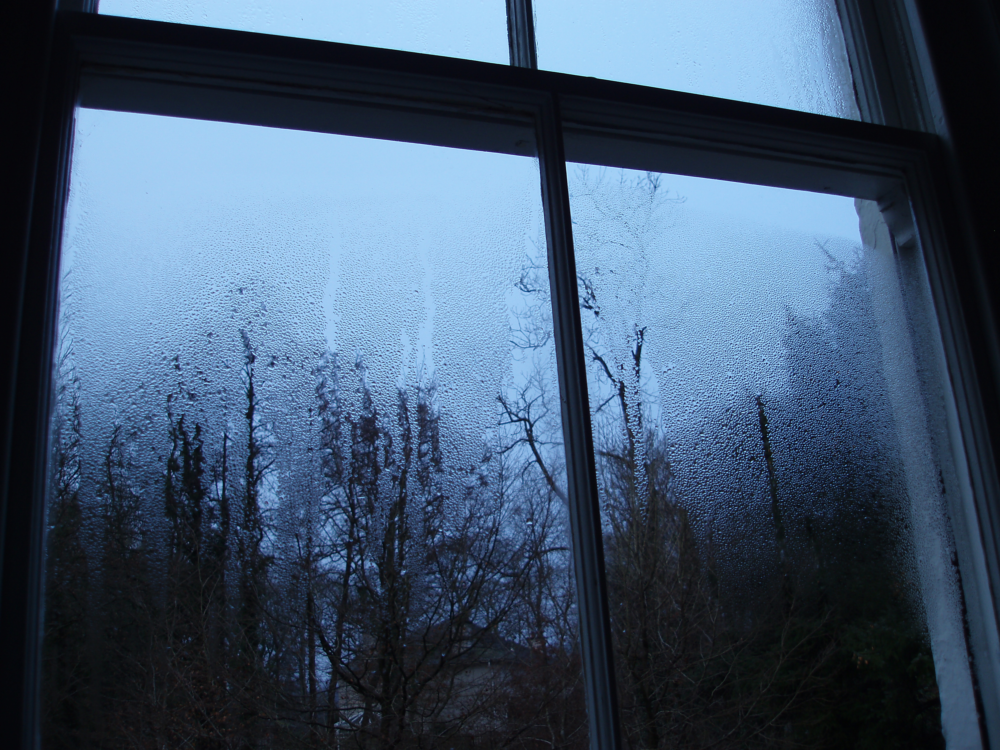 Из окна видна река. Холодное окно. Окно зима. Дождь из окна. Вид из окна на лес.